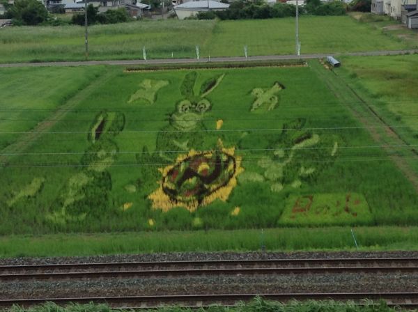 貝の火の田んぼアート 貝の火の田んぼアート