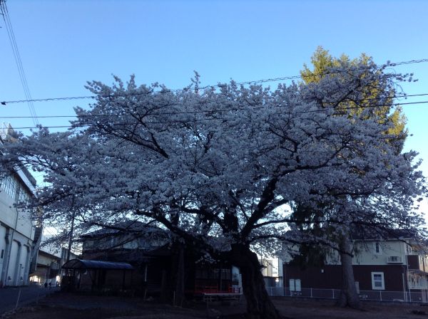 �k��w�����̍�
